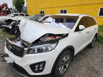 2016 Kia Sorento KNAPS81ABGA185857 VIN:KNAPS81ABGA185857