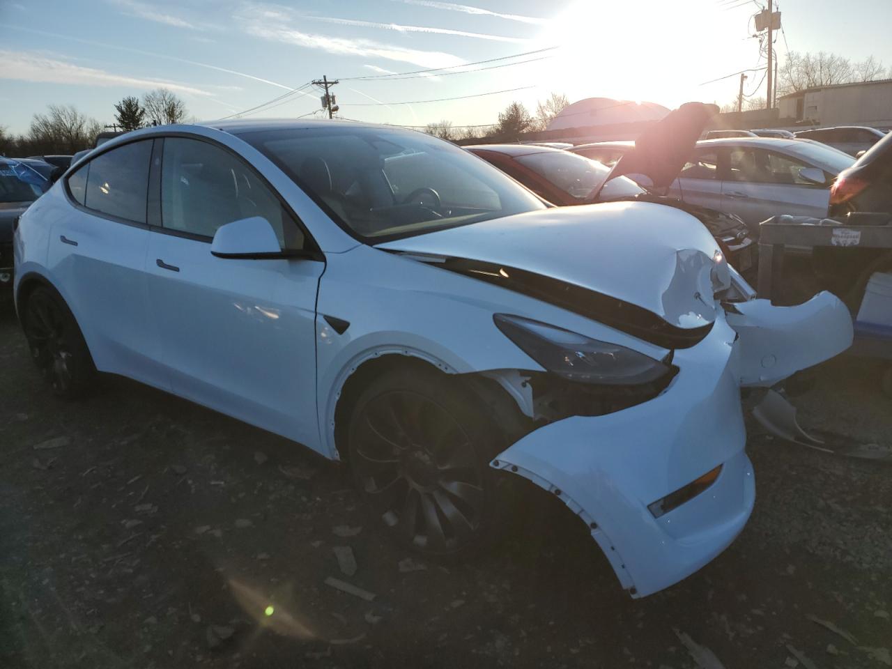 2024 TESLA MODEL Y  VIN:7SAYGDEF1RA261719
