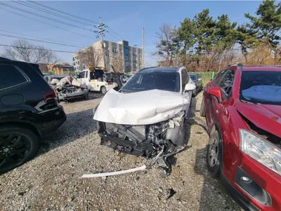 2020 Hyundai Santa FE KMHS381ADLU216986 VIN:KMHS381ADLU216986