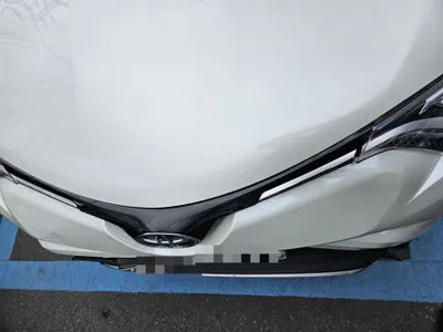 2017 Toyota RAV4 VIN: