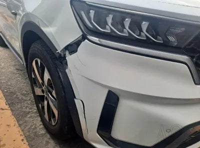 2021 Kia Sorento KNARL81BGMA074326 VIN:KNARL81BGMA074326