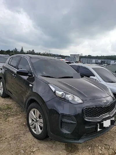 2016 Kia Sportage KNAPN815GGK086538 VIN:KNAPN815GGK086538