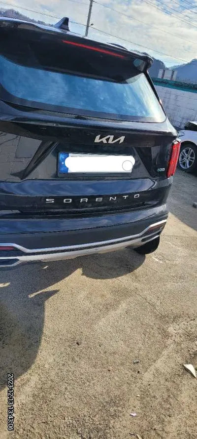 2022 Kia Sorento KNARJ81GBNA090208 VIN:KNARJ81GBNA090208