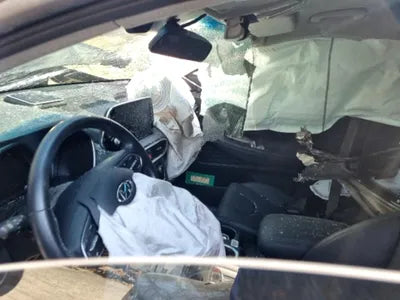 2020 Hyundai Santa FE KMHS381BBLU305856 VIN:KMHS381BBLU305856