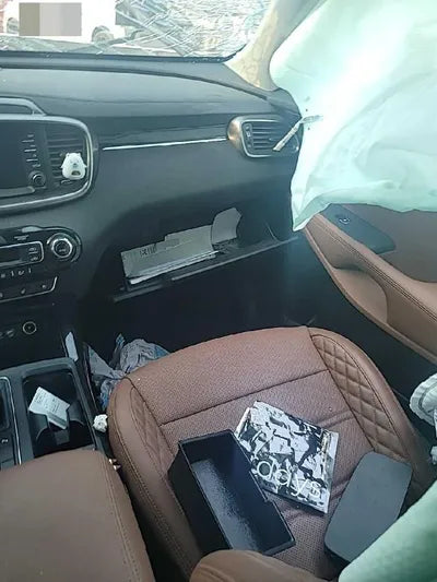 2019 Kia Sorento KNAPH81BBLA612488 VIN:KNAPH81BBLA612488