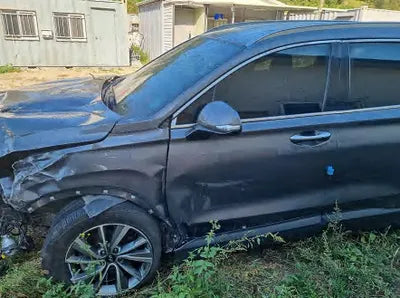 2019 Hyundai Santa FE KMHS281CBKU142045 VIN:KMHS281CBKU142045