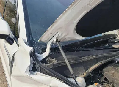 2020 Kia Sorento KNARK81BGMA038540 VIN:KNARK81BGMA038540