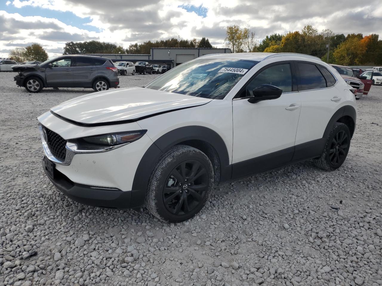 2023 MAZDA CX-30 PREMIUM PLUS VIN:3MVDMBEY8PM588638