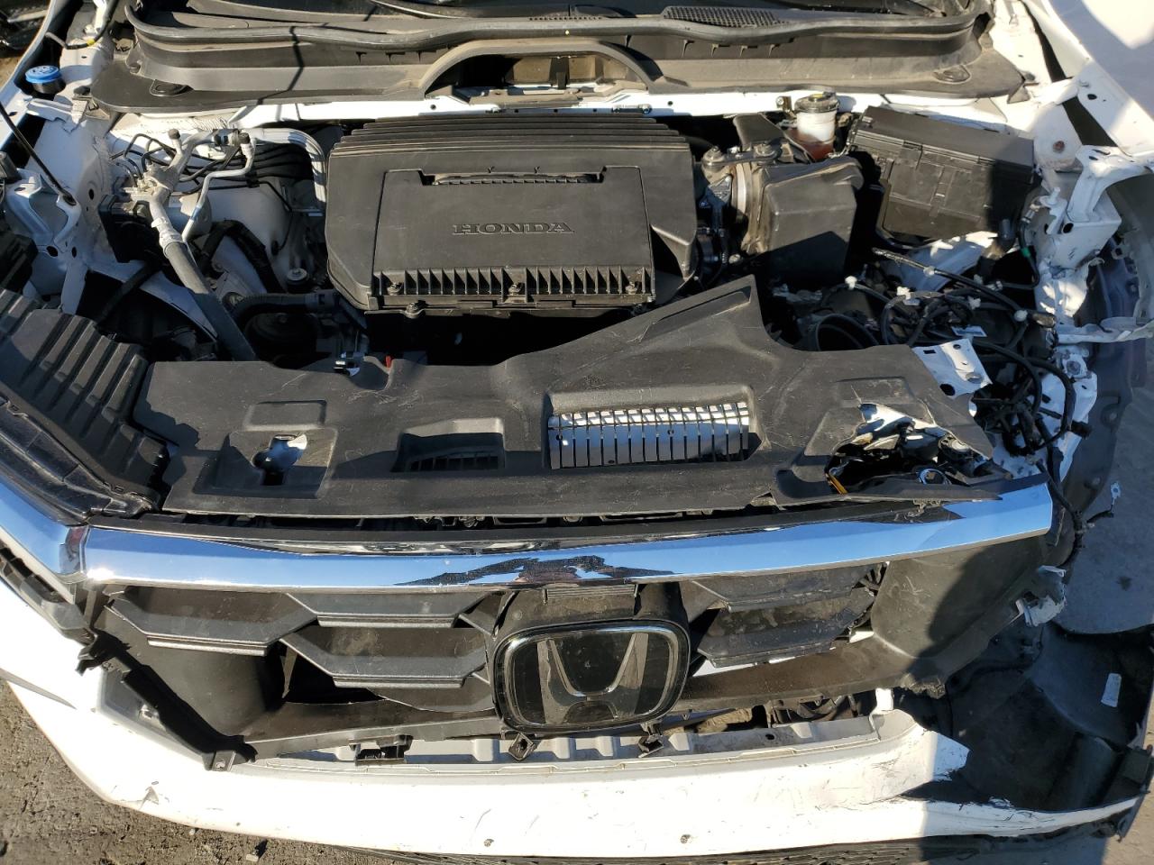 2024 HONDA PILOT EXL VIN:5FNYG1H41RB017772