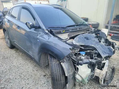 2019 Hyundai Kona KMHK381GFKU057313 VIN:KMHK381GFKU057313