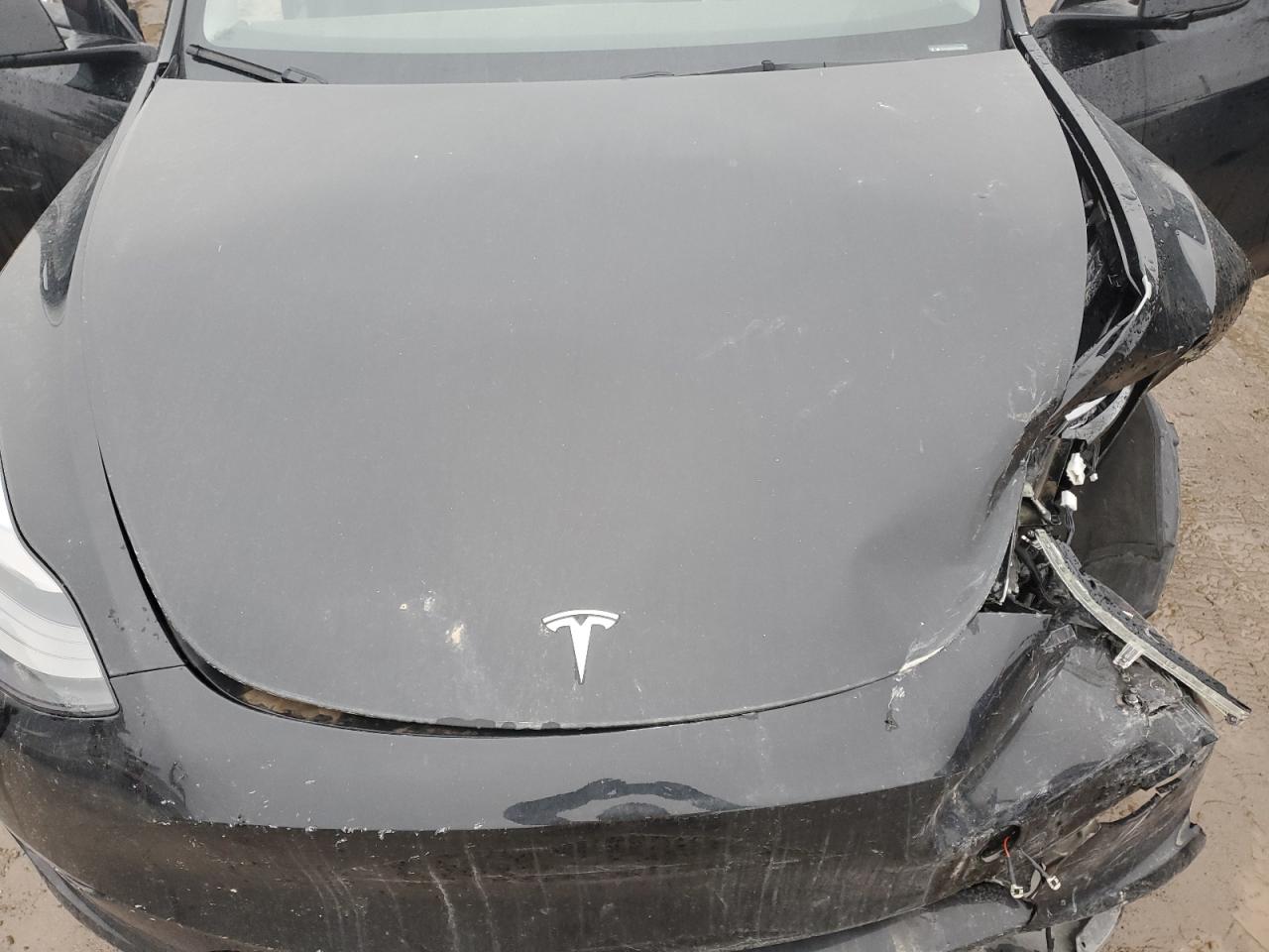 2023 TESLA MODEL Y  VIN:7SAYGDEE8PA189650