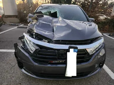 2022 Honda Odyssey 5KBRL6890NB600078 VIN:5KBRL6890NB600078