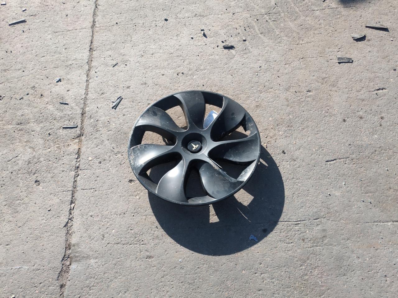 2023 TESLA MODEL Y  VIN:7SAYGDEE5PF850358