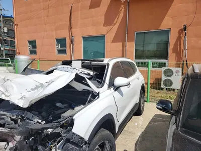 2021 Hyundai Santa FE KMHS381HGMU344096 VIN:KMHS381HGMU344096
