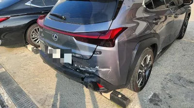 2019 Lexus UX 250 JTHU9JBH4K2002923 VIN:JTHU9JBH4K2002923