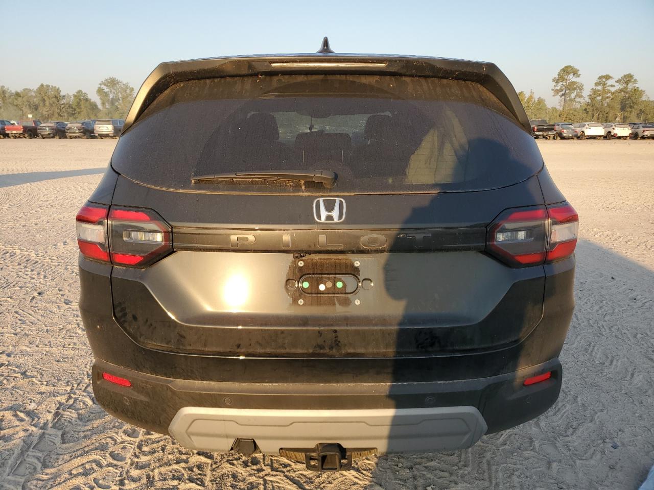 2024 HONDA PILOT EXL VIN:5FNYG2H43RB009145