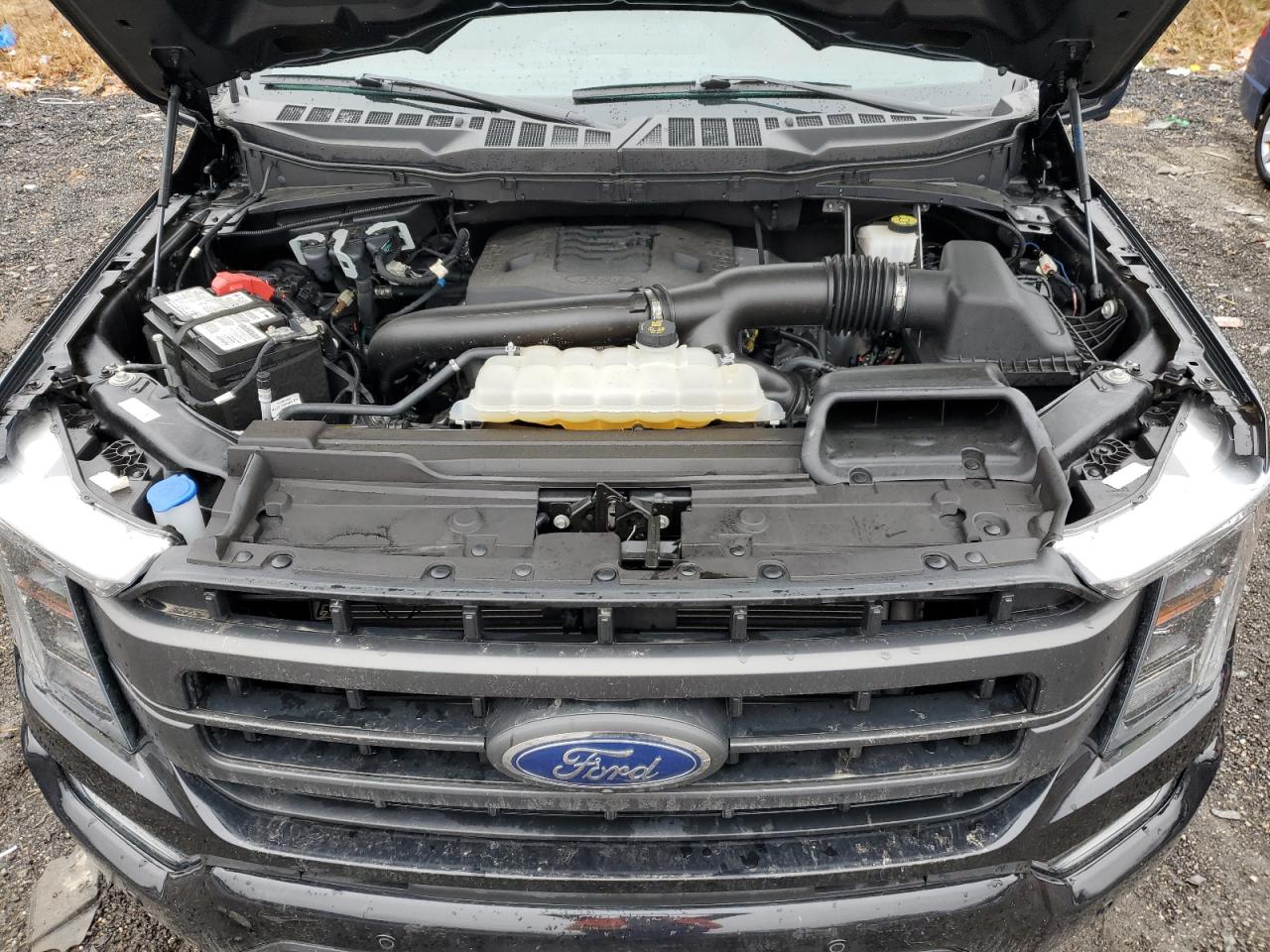 2023 FORD F150 SUPERCREW VIN:1FTFW1E85PFB59990