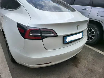 2020 Tesla Model 3 5YJ3E1EB3LF756250 VIN:5YJ3E1EB3LF756250