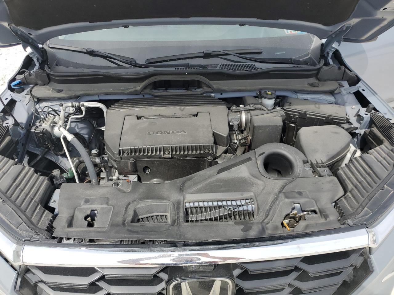 2024 HONDA PILOT ELITE VIN:5FNYG1H80RB028412