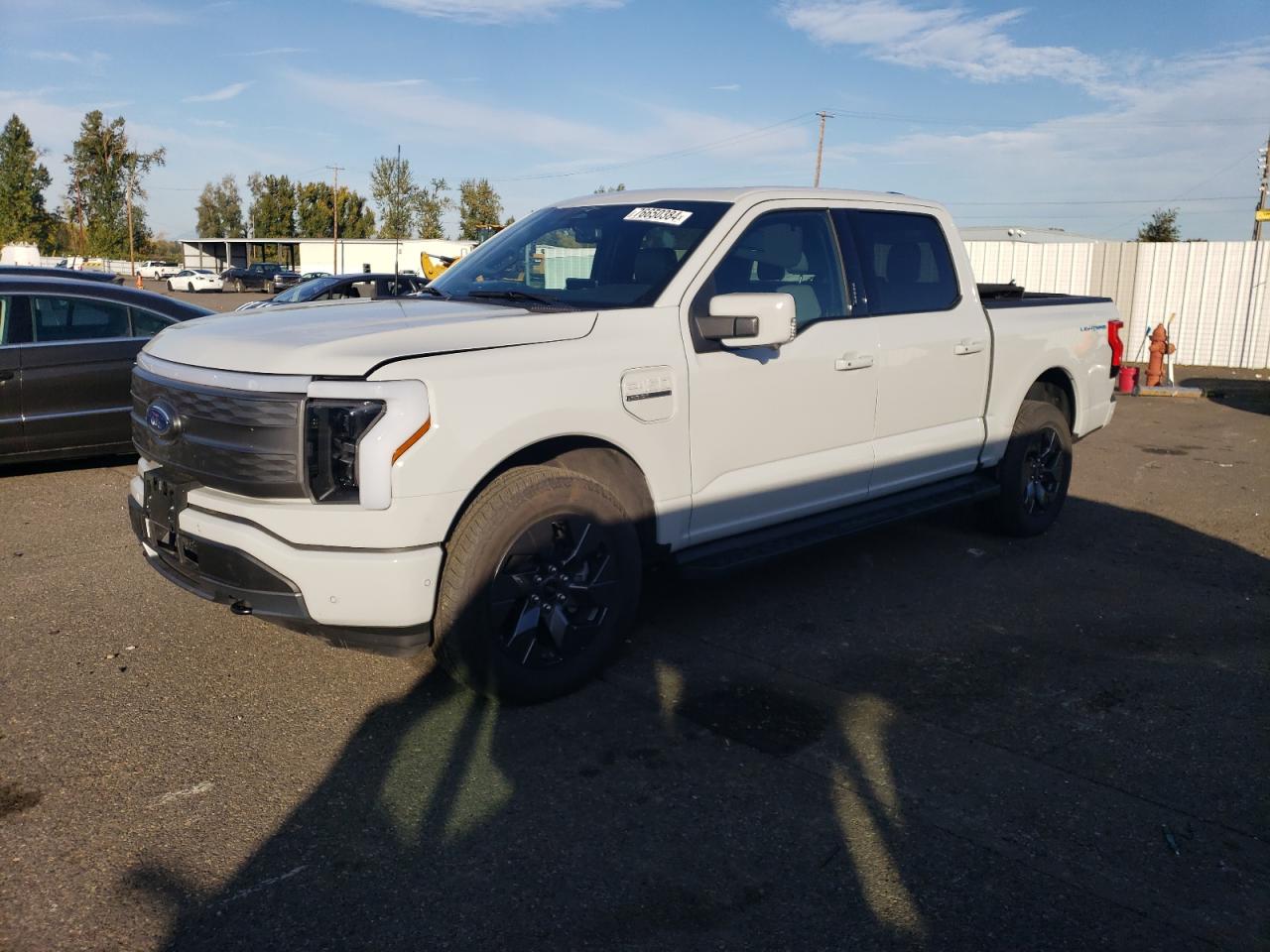 2023 FORD F150 LIGHTNING PRO VIN:1FTVW1EV5PWG53400