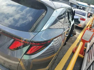 2021 Hyundai Tucson KMHJC81BGMU009847 VIN:KMHJC81BGMU009847