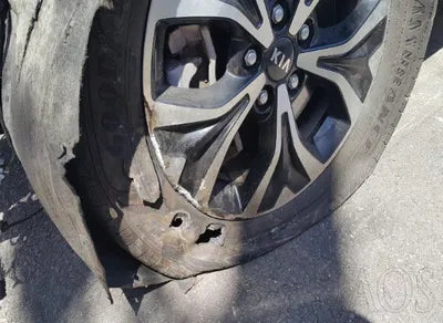 2021 Kia Carnival KNANB81BBMS068342 VIN:KNANB81BBMS068342