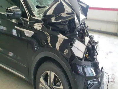 2020 Kia Sorento KNARH81GBMA026218 VIN:KNARH81GBMA026218