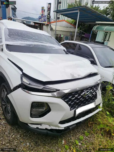 2019 Hyundai Santa FE KMHS381BBKU171201 VIN:KMHS381BBKU171201