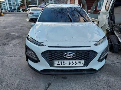 2018 Hyundai Kona KMHK4815GJU010259 VIN:KMHK4815GJU010259