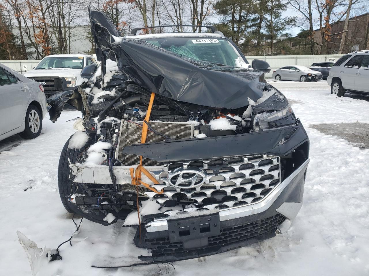 2023 HYUNDAI SANTA FE LIMITED VIN:5NMS5DA10PH013334