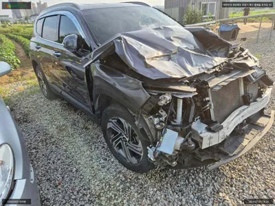 2020 Hyundai Santa FE KMHS381HGMU330317 VIN:KMHS381HGMU330317