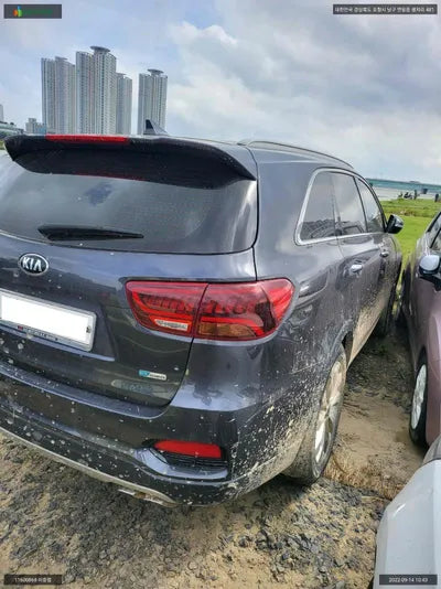 2018 Kia Sorento KNAPG81ABJA428230 VIN:KNAPG81ABJA428230