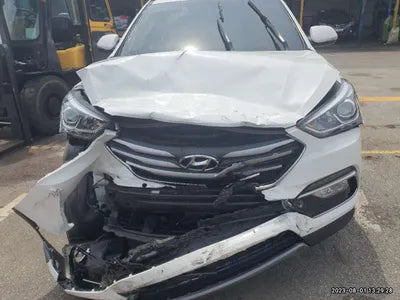 2018 Hyundai Santa FE KMHSW81UBJU802940 VIN:KMHSW81UBJU802940