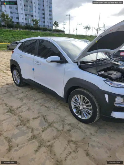 2020 Hyundai Kona KMHK4815GLU554531 VIN:KMHK4815GLU554531