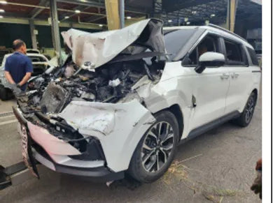 2021 Kia Carnival KNANB81BBMS032209 VIN:KNANB81BBMS032209
