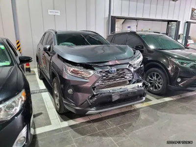 2019 Toyota RAV4 JTMDWRFV4KD030718 VIN:JTMDWRFV4KD030718