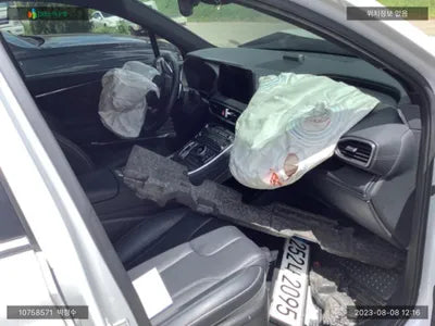 2020 Hyundai Santa FE KMHS381HGMU310238 VIN:KMHS381HGMU310238