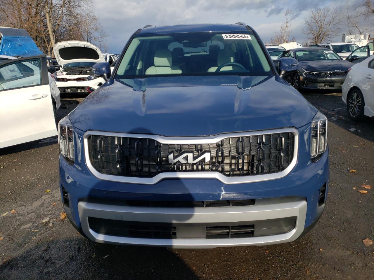 2024 KIA TELLURIDE EX VIN:5XYP34GC8RG565262