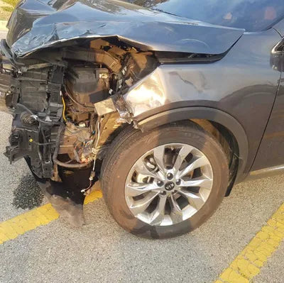 2019 Kia Sorento KNAPH81BBKA516242 VIN:KNAPH81BBKA516242
