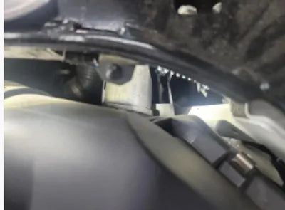 2021 BMW 320 WBA6L5106MFL34501 VIN:WBA6L5106MFL34501