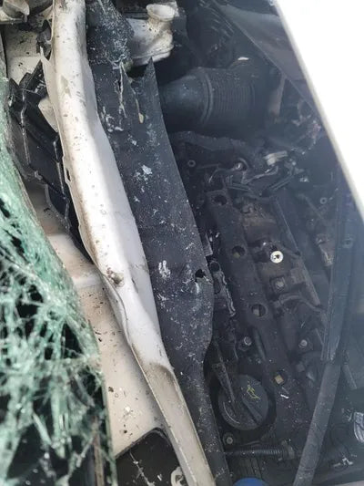 2020 Kia Carnival KNANC81BBMS004700 VIN:KNANC81BBMS004700