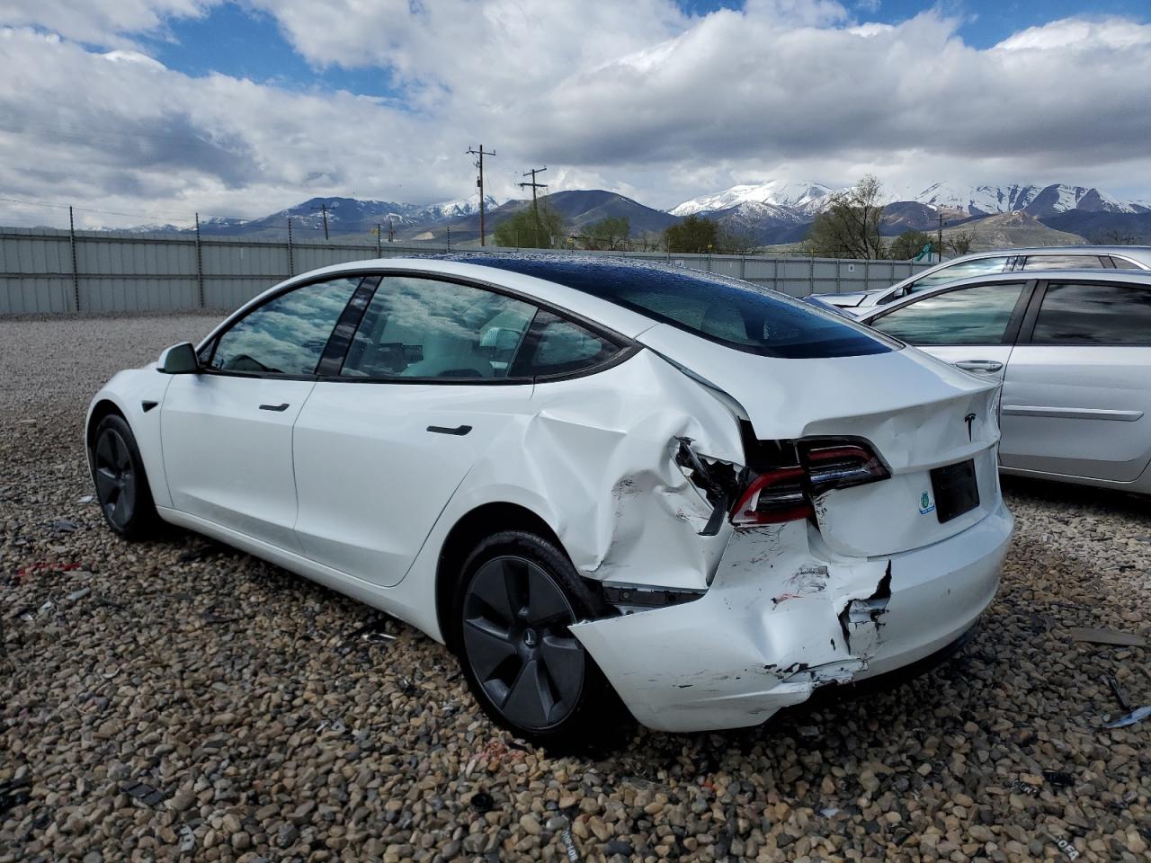 2023 TESLA MODEL 3  VIN:5YJ3E1EA9PF569835