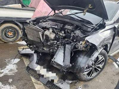 2019 Hyundai Santa FE KMHS381BBKU163688 VIN:KMHS381BBKU163688