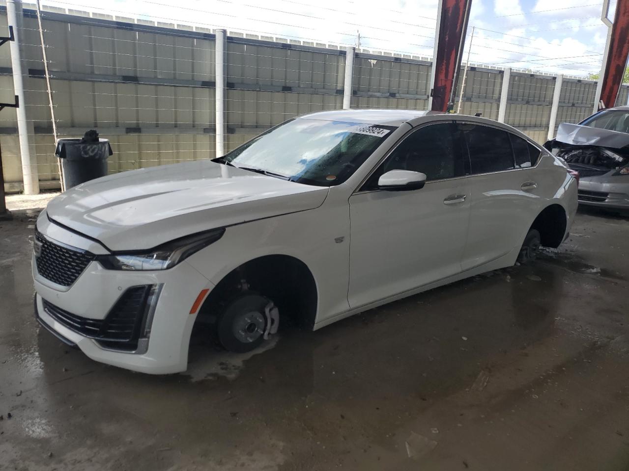 2023 CADILLAC CT5 PREMIUM LUXURY VIN:1G6DN5RW1P0117641