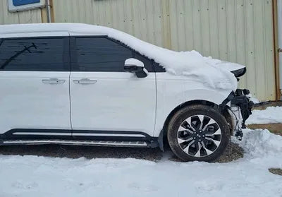 2021 Kia Carnival KNANE81BBMS017834 VIN:KNANE81BBMS017834