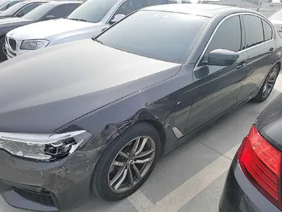 2019 BMW 520 WBAJF510XLWW55120 VIN:WBAJF510XLWW55120