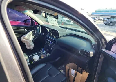 2020 Hyundai Santa FE KMHS281BBLU199802 VIN:KMHS281BBLU199802