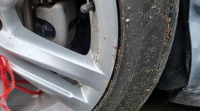 2015 Volkswagen Passat 1VWZZZA3ZFC092630 VIN:1VWZZZA3ZFC092630