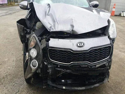 2018 Kia Sportage KNAPL813DJK494170 VIN:KNAPL813DJK494170