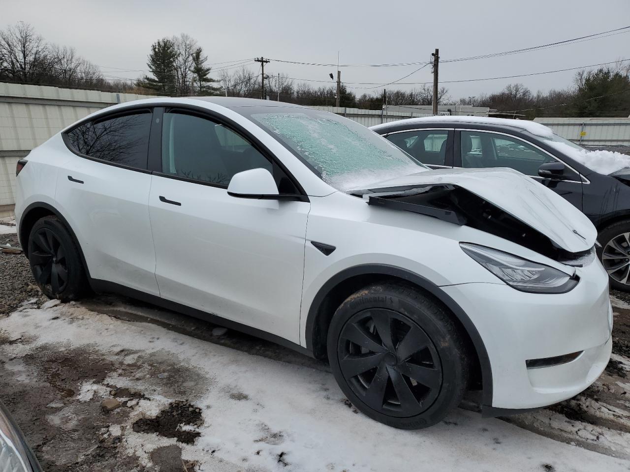 2023 TESLA MODEL Y  VIN:7SAYGDEE7PA051775